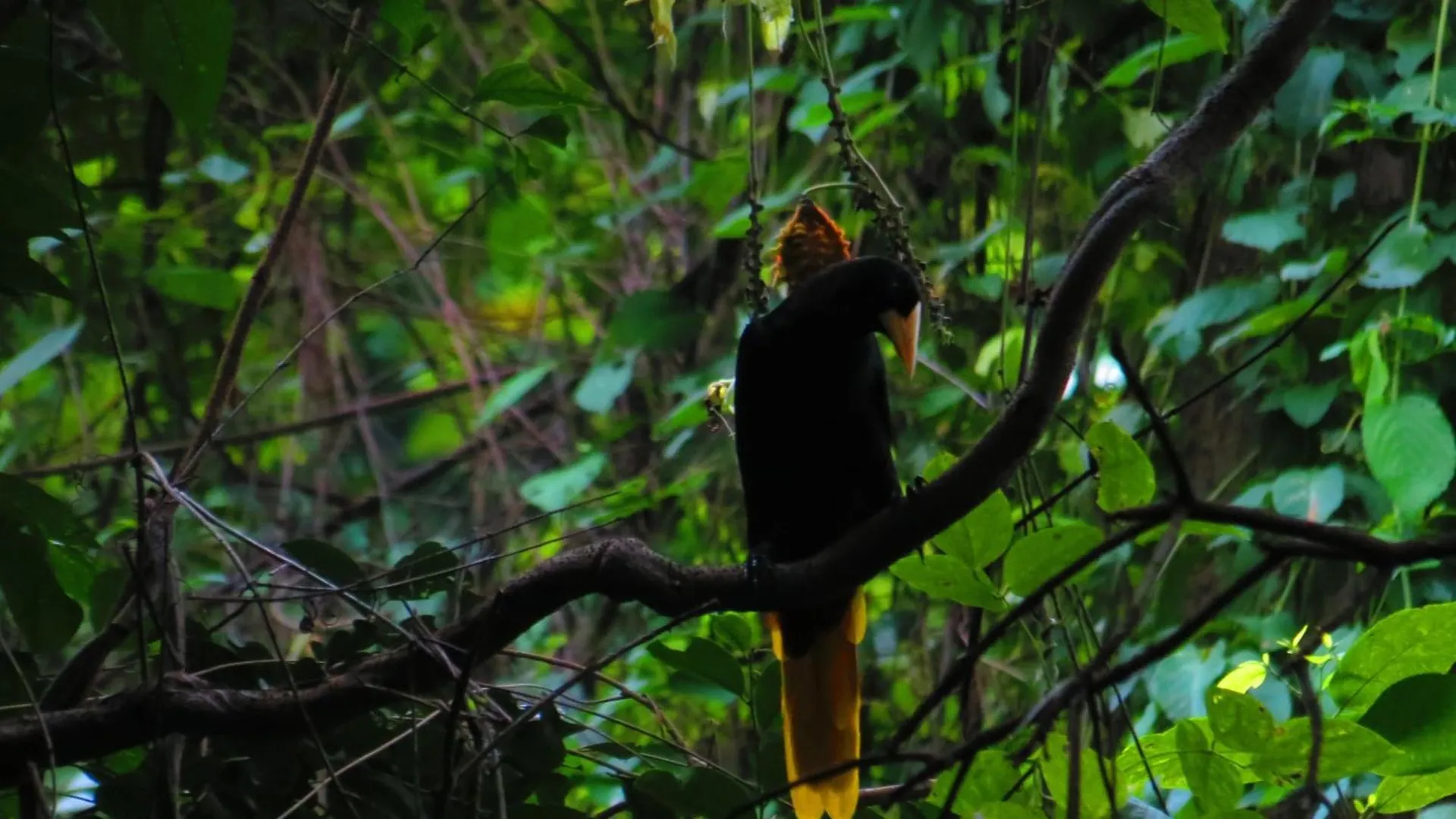 Hotel Cascada Escondida Glamping Santa Marta  Kemp